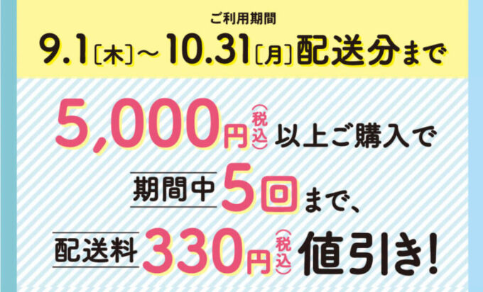 イオンネットスーパークーポン【221031】