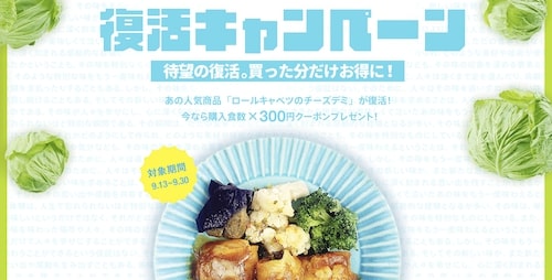 ナッシュ復活キャンペーン！300円OFFクーポンコード【23:9:30まで】