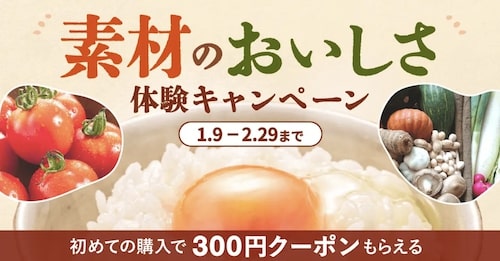 食べチョク対象商品限定｜300円割引クーポン【24_2_29まで】